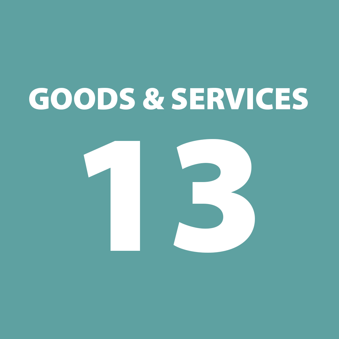 GOODS SERVICES 13