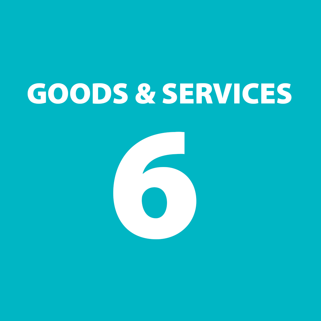 GOODS SERVICES 6